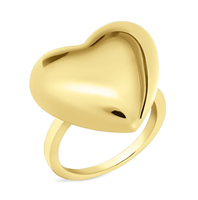Anello Stroili Oro Donna in Acciaio 1691141 - 1691141